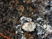 Fotograf�a del artefacto que cay� en la finca y prendi� fuego.