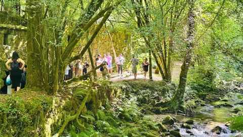 Recorrido por el r�o Maneses, en O Campo Lameiro, uno de los seis espacios naturales del programa 
