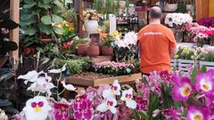 Las flores y las plantas son una peque�a parte de Jardiland.