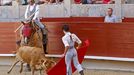 Una becerrada anterior en la plaza de toros de Pontevedra, en una imagen de archivo