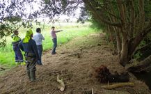El alcalde supervis� los trabajos de limpieza junto al r�o.