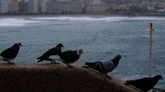 Jornada de cielo gris y lluvias intermitentes. 