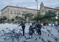 La empresa Larus Control estima que solo en A Ferrer�a hay cuatrocientas palomas. 