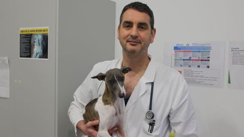 Luciano es veterinario en el Hospital Rof Codina de Lugo