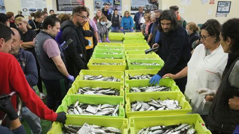  Subasta de sardina en el mercado de Carballo 