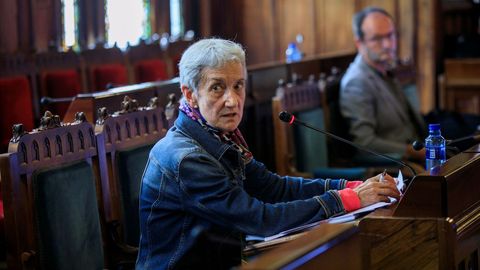 La consejera de Educacin, Carmen Surez, comparece ante la comisin de estudio de la gestin de la crisis sanitaria de la Junta General del Principado