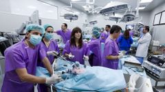 El HULA forma a 12 cirujanos en nuevas t�cnicas laparosc�picas