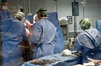 Imagen de archivo de una operaci�n en un quir�fano del Hospital Arquitecto Marcide. 