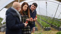 La conselleira de Medio Rural en A Estrada