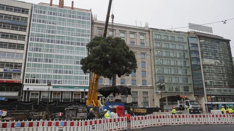 Traslado del metrosidero del Cant�n Grande