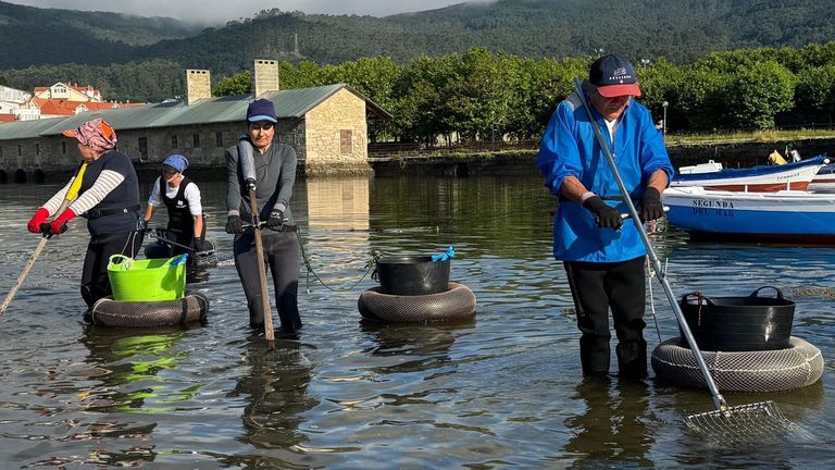 Mariscadores a pie de Muros