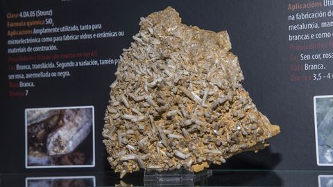 Una muestra de cuarzo lechoso de Vilarbac� en la colecci�n mineral�gica del museo