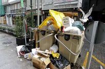 Una gaviota curiosea entre los desperdicios de un contenedor ayer en la R�a Nueva.