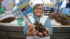 Hasta 260 euros el kilo de percebe se paga en Carballo y por encima de 200 en Pontevedra