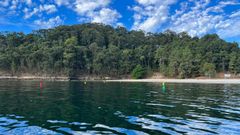 Las balizas impiden que las embarcaciones lleguen hasta el arenal de la Illa de Tambo