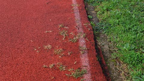 ABANDONO, DESPERFECTOS EN LA PISTA DE ATLETISMO DEL CAMPO MUNICIPAL DE A ALTA. POR LO QUE PERDIO LA HOMOLOGACION