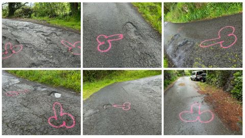 Algunas de las pintadas que aparecieron este lunes en la carretera de acceso a Perln, en la parroquia de Trubia, Oviedo.