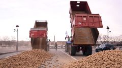Camiones tiran patatas ante la Asamblea Nacional de Francia para protestar contra Mercosur en una foto tomada en enero pasado