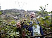 El presidente de los comuneros de Teis, Eduardo Garc�a, en una de las fincas de la entidad.