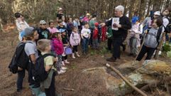 Una actividad con peque�os en el Bosque da Insua laxense 