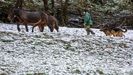 Nieve en Campomanes