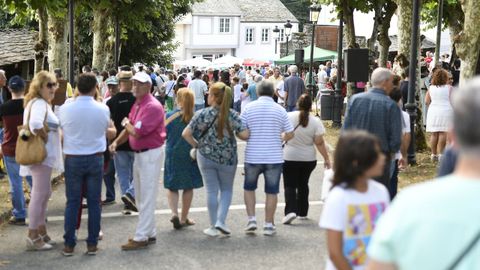 Feira de Artesana e Gastronoma de Castroverde, ambiente