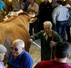 Un tratante antes del concurso en el mercado ganadero de Friol.