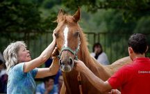 La Feira do Cabalo retorna al pol�gono industrial Lal�n 2000, con carpas para protegerse de la lluvia.