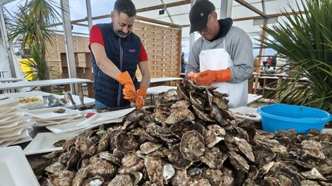 Imagen de archivo de la Festa da Ostra del 2025. 