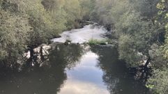 El ro Sar a su paso por Chave de Ponte, en Bastavales en el municipio de Brin, con mucha espuma tras los vertidos de la EDAR de A Silvouta