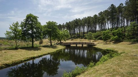 rea recreativa del ro de Montes en Cualedro