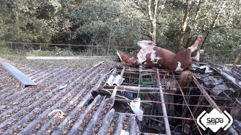 Rescate de una yegua en Siero