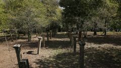 Los alumnos trabajar�n en la finca de Goi�ns