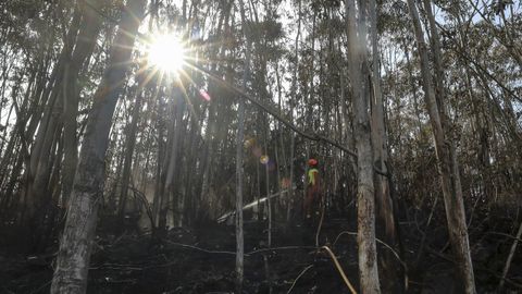 Un bombero trabaja este martes en la extinci�n de un incendio en Soto de Las Regueras