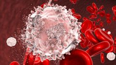 C�lula cancer�gena