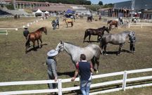 Caballos y aficionados se enfrentaron a las altas temperaturas