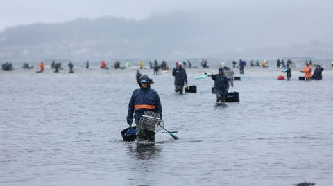 El marisqueo a pie es un sector que da trabajo sobre todo a mujeres en la ra de Pontevedra