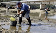 Mariscadoras de Vilanova trabajando trabajando en la zona de O Esteiro.
