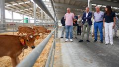 Alfonso Rueda visita la granja de San Sadurni&ntilde;o que surte de leche a Bico de Xeado