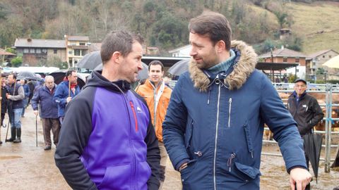 El presidente del PP de Asturias, �lvaro Queipo, en la feria ganadera de Proaza, junto a un participante.