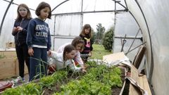 Los alumnos del colegio Salustiano Rey cuentan con su propio huerto ecol�gico.