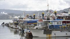 Puerto de Combarro esta semana