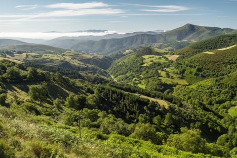 La aldea de O Cebreiro se ubica en pleno Camino Francés de peregrinación a Santiago de Compostela