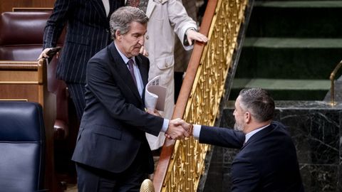 Alberto N��ez Feijoo y Santiago Abascal se saludan al t�rmino de un pleno del Congreso.