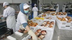 A cien vieiras por hora en A Capela