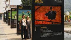 Afundaci�n lleva la exposici�n de los Premios Comedy Wildlife Photography Awards 2015-2024 al Parque dos xardinillos en Ribadavia. 