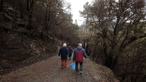 La carretera que lleva hasta el pueblo de A Barca es muy vulnerable al efecto de las escorrent�as porque pasa por una pendiente muy pronunciada que ardi� por completo