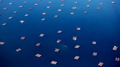 Las bateas salpican el mar en su entrada en la R�a de Vigo