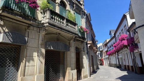 Flores en los balcones del casco viejo