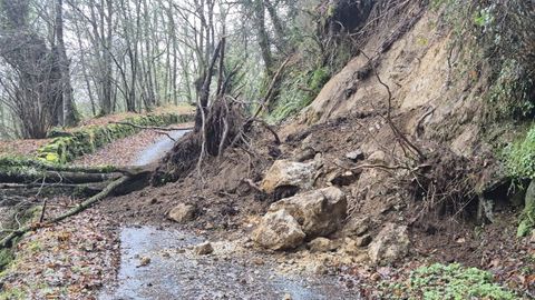 Desprendimiento de ramas, rocas y tierra en Mu��os.